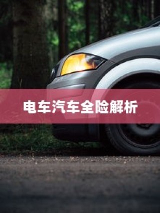 电车汽车全险解析与探讨，保障您的智能出行安全