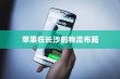 苹果手机在长沙有仓库吗？探究苹果在长沙的物流布局