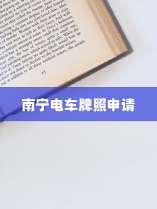 南宁电车牌照申请全攻略，材料、流程与注意事项详解