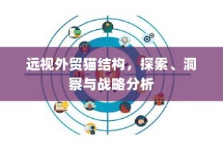 远视外贸猫结构，深度探索、战略洞察与分析