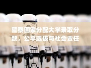 警察参与大学录取分数分配，公平选拔与社会责任的权衡考量