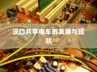 外贸猫结构探索，深度观察与分析