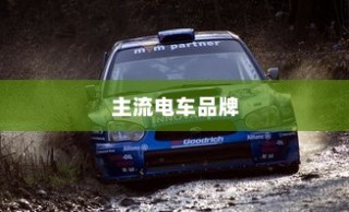 当下主流电车品牌深度解析，哪个品牌更值得选择？