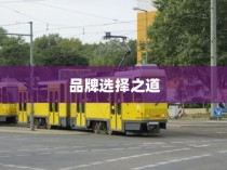 电车时代品牌选择攻略，明智决策你的出行之选