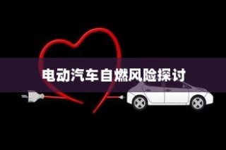 电动汽车停车状态下的安全性解析，自燃风险探讨与防范措施