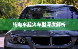 纯电车起火车型全面解析