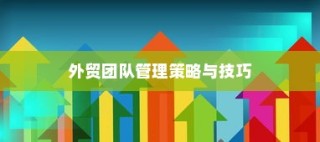 高效外贸团队打造，外贸员管理策略与技巧之道