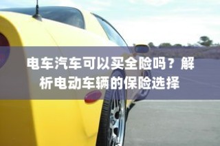电动车辆保险全解析，能否购买全险？
