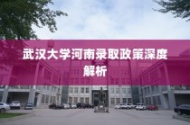武汉大学河南录取政策全面解析