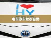 电动汽车安全性解析，停车状态下自燃风险探讨