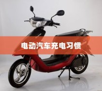 电动汽车充电习惯探讨，电车是否需要耗尽再充电？