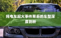 纯电车起火事件背后的车型深度探究