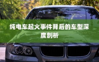 纯电车起火事件背后的车型深度探究