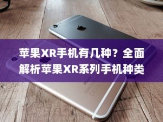 苹果XR手机有几种？全面解析苹果XR系列手机种类与特点