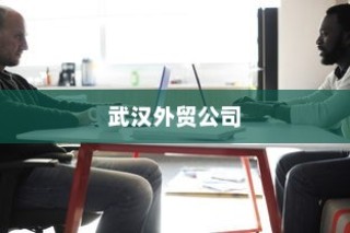 外贸猫结构深度探析，远视下的观察与解析