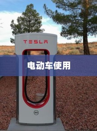 大学之路，感恩陪伴与荣耀的同行时光