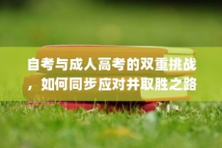 二、iPhone 11 Pro的SIM卡配置