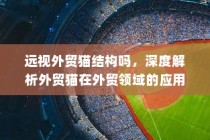 深度解析，外贸猫在外贸领域的结构应用与发展趋势