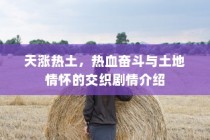 天涨热土，热血奋斗与土地情怀的交织篇章剧情介绍