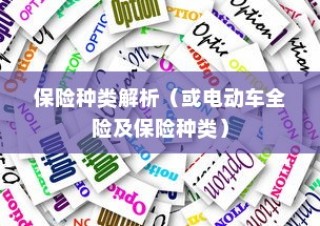 电动车保险全攻略，解析保险种类与全险购买可行性