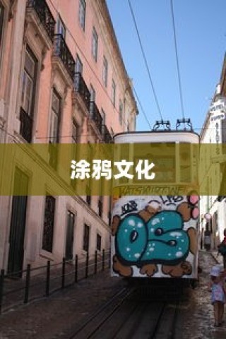 电车FR功能解析，揭示FR的真正含义