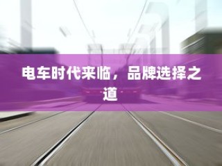 新能源电车电池质保深度解析与探讨，探究电池质保的细节与未来趋势