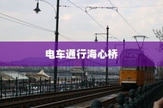 电车自燃现象深度探究，品牌分析与启示