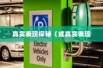 电动车停车状态续航性能深度解析，真实表现探秘与评估