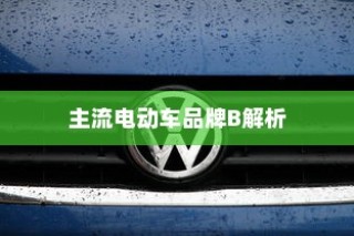 主流电动车品牌B深度解析，为何选择电车B牌子是明智的决策？