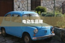 二十万左右预算纯电车推荐购买指南
