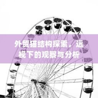 纯电车起火事件深度解析，涉及车型与原因的探讨及应对之道
