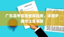 广东高考成绩查询指南，详细步骤及注意事项全解析