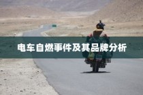 北方电车电池选择指南，探寻最佳电池类型，为你的电车保驾护航