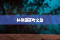 林徽因高考之路，追梦之旅的智慧与闪耀（2024年）
