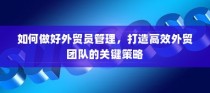 高效外贸团队建设的核心策略，外贸员管理与团队效能提升之道