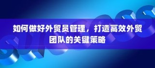 高效外贸团队建设的核心策略，外贸员管理与团队效能提升之道