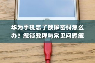 华为手机忘了锁屏密码怎么办？解锁教程与常见问题解答