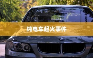 纯电车起火事件背后的车型深度探究