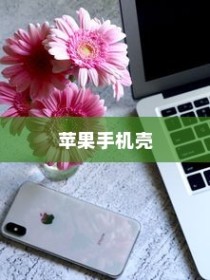 苹果手机壳寓意的深度解读