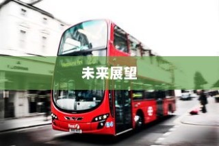高要求下的外贸鞋业质量标准挑战与品质解析探究