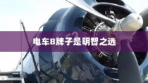 主流电动车品牌B深度解析，为何选择电车B牌子是明智的决策？