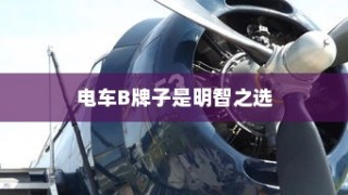 主流电动车品牌B深度解析，为何选择电车B牌子是明智的决策？