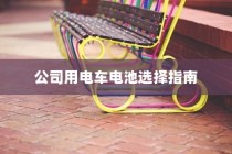 公司用电车电池选择指南大全