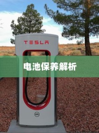 电动汽车充电策略与电池保养解析，电量降至30%时是否充电探讨