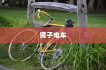 同窗共贺喜讯，大学录取梦想起航新征程！