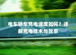 九号大电池电车的优势、使用可行性及注意事项深度解析与探讨