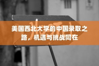 美国西北大学的中国录取之路，机遇与挑战并存