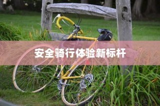 共享电车与头盔融合创新，引领安全骑行新标杆