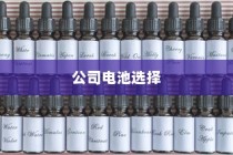 公司电车电池选型策略指南