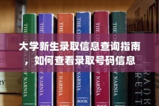 大学新生录取信息查询全攻略，如何轻松获取录取号码信息？